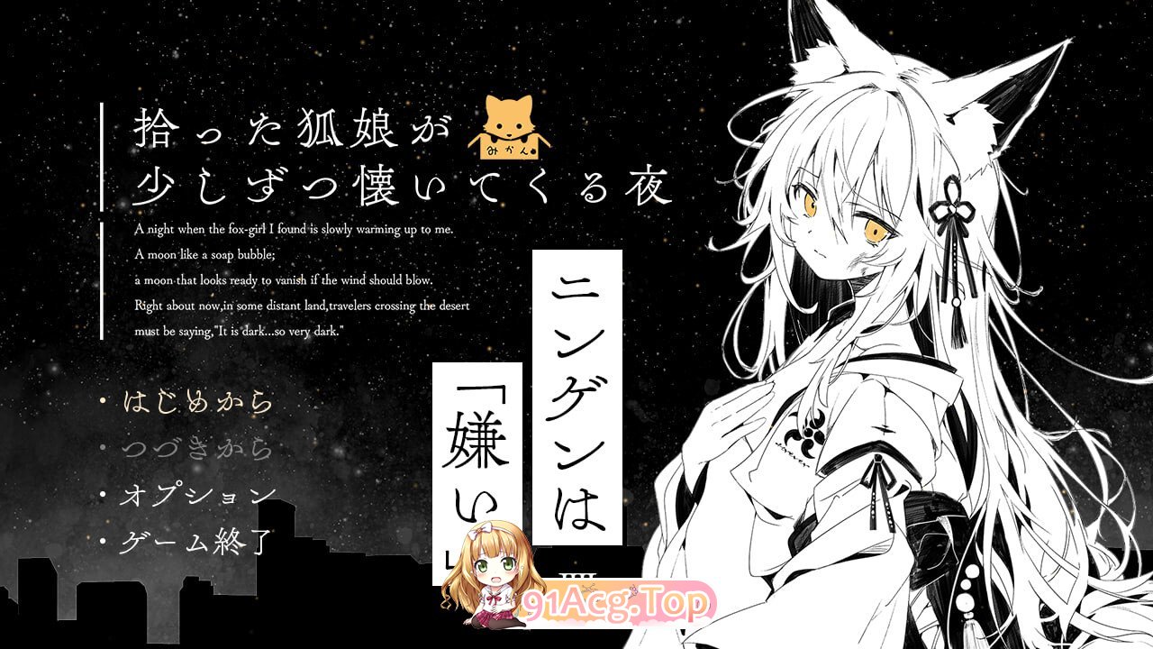 捡到的狐娘逐渐亲近的夜晚 拾った狐娘が少しずつ懐いてくる夜 PC端 汉化版 预览图