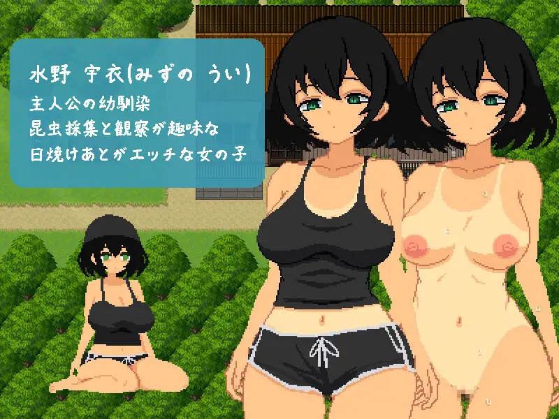 おさななじみと夏の7日間 PC端 日文原版 预览图
