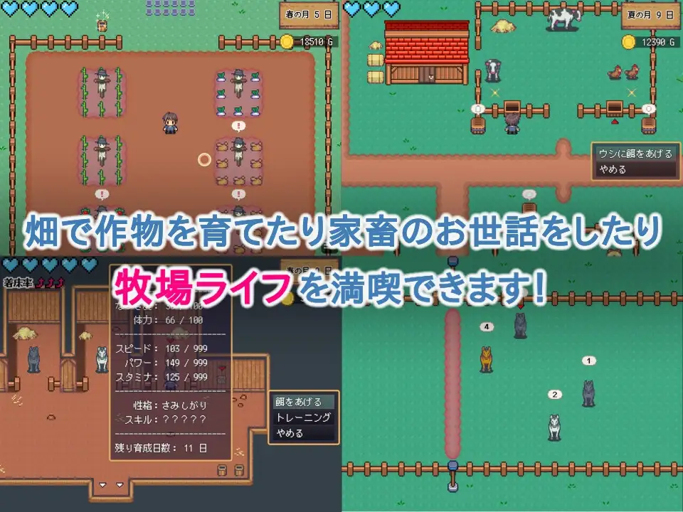 世界树牧场：精灵传承 ハラマセノーカ～エルフハーレムと世界樹の牧場～ v1.1 官中步兵完整版 PC端 官中高清完整版 预览图