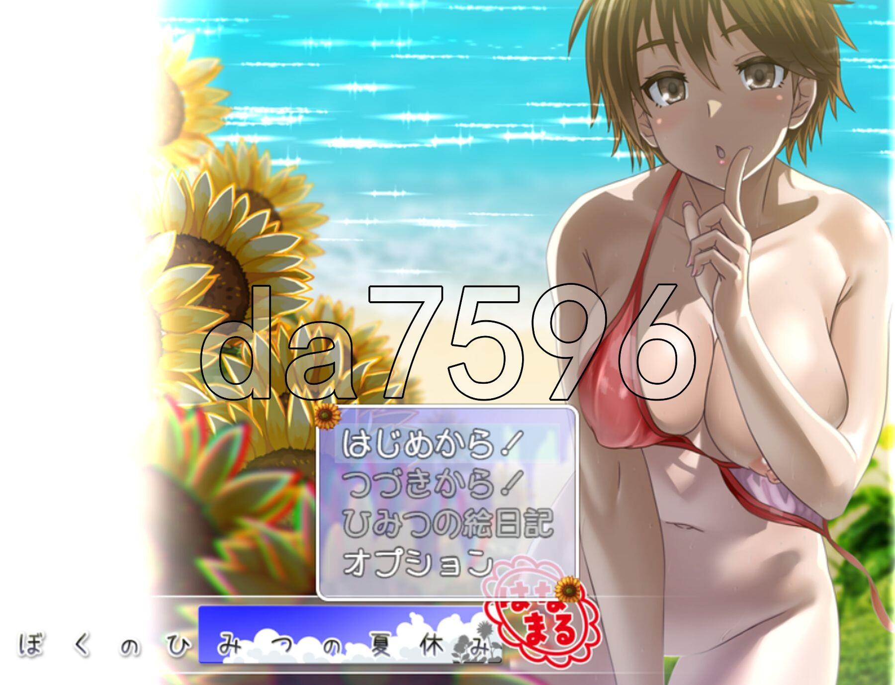 我秘密的暑假时光 ぼくのひみつの夏休み はなまる ver1.0.6 PC端 AI汉化版 预览图