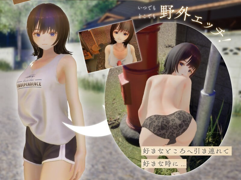 夏姐姐 ～我恋爱的30天～ なつねえ ～僕が恋した30日～ ver1.10 正式版+自带全回想+服装存档 PC端 完整版 预览图