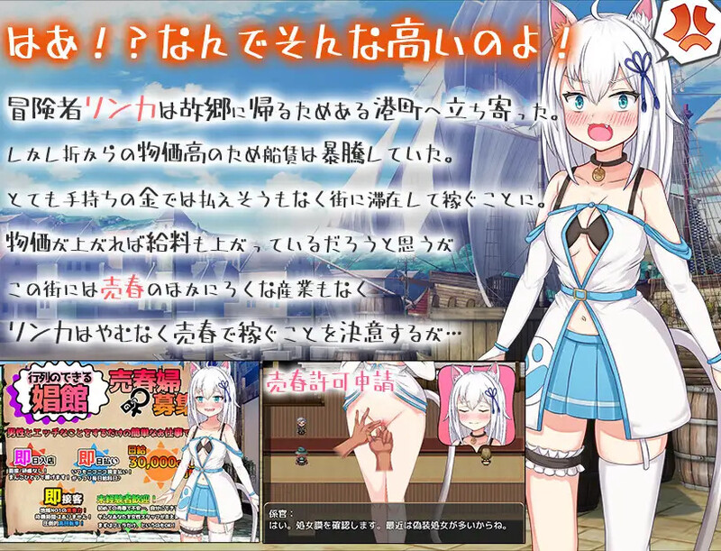 DL9月新作 探索SLG/2C 赚钱吧!猫耳娘～异世界卖春SLG～（稼げ猫耳娘 ～異世界売春SLG～）V1.0 PC端 AI汉化版高清版 预览图